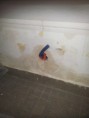 /album/du-15-au-19-juillet/a20130715-200536-jpg/