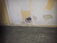 /album/du-15-au-19-juillet/a20130716-201829-jpg/