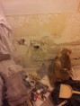 /album/du-29-au-02-aout/a20130730-213759-jpg/